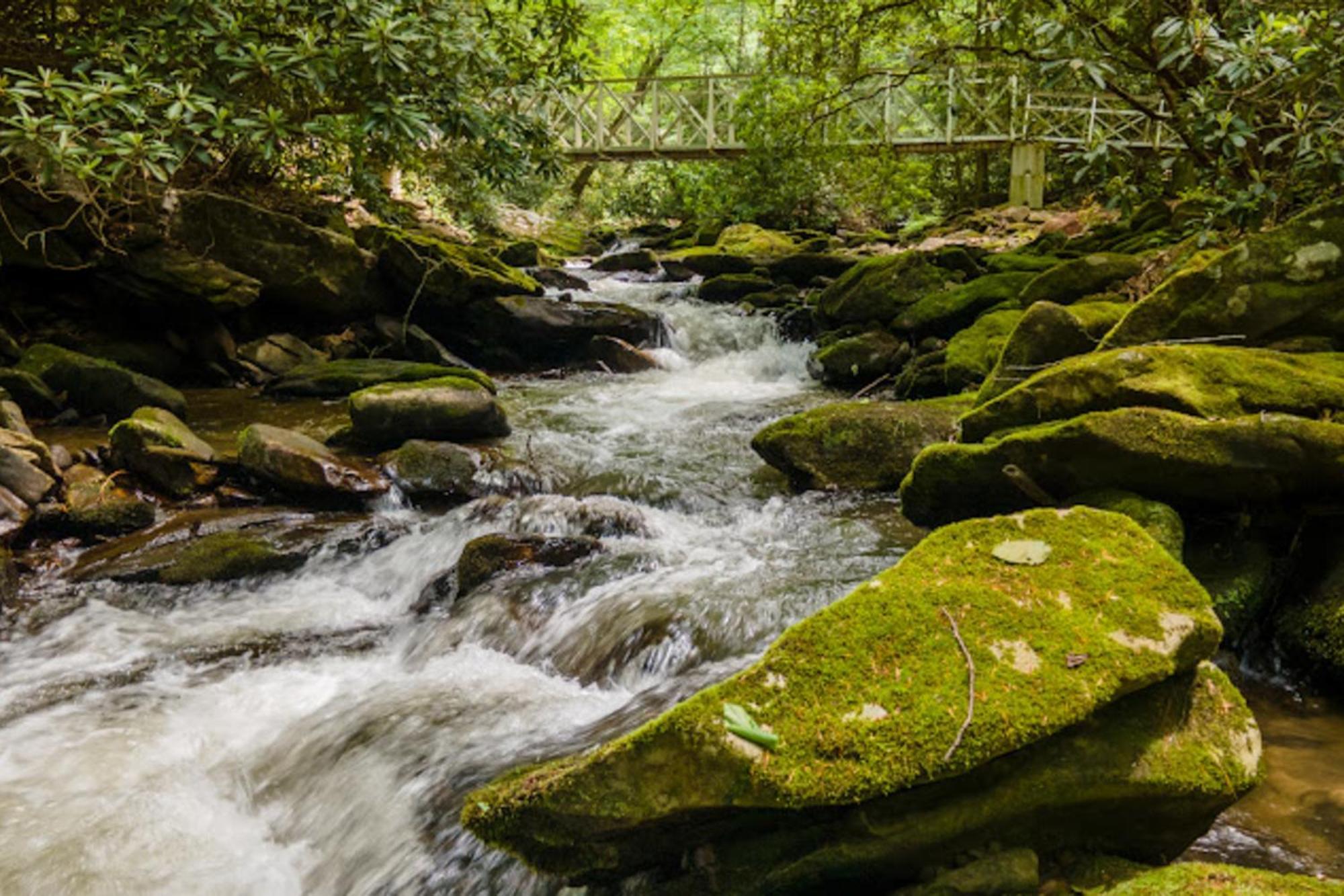 Creel Lodge At Middle Creek Otto Экстерьер фото